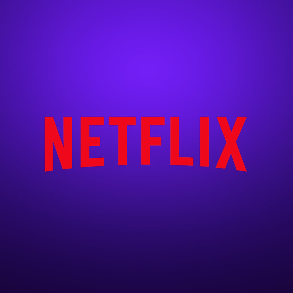 Netflix Subscription